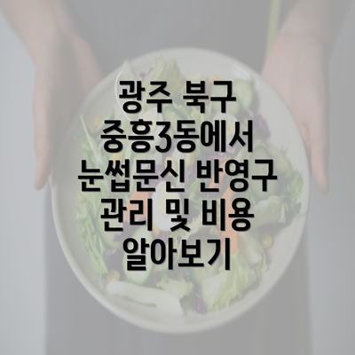 광주 북구 중흥3동에서 눈썹문신 반영구 관리 및 비용 알아보기