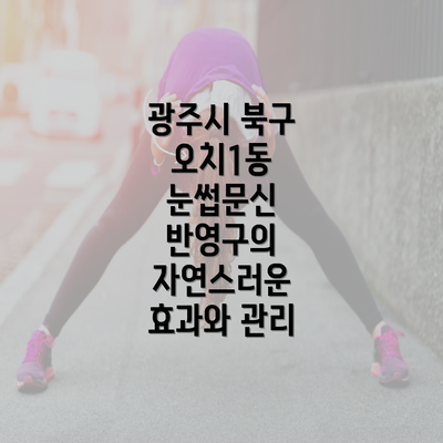 광주시 북구 오치1동 눈썹문신 반영구의 자연스러운 효과와 관리