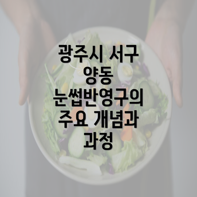 광주시 서구 양동 눈썹반영구의 주요 개념과 과정