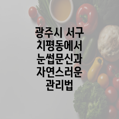 광주시 서구 치평동에서 눈썹문신과 자연스러운 관리법