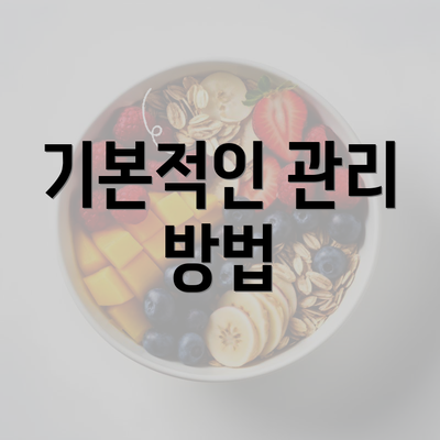 기본적인 관리 방법