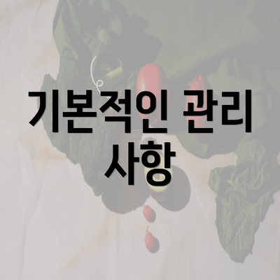 기본적인 관리 사항