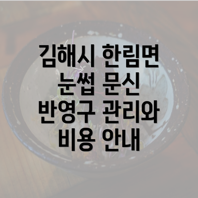 김해시 한림면 눈썹 문신 반영구 관리와 비용 안내