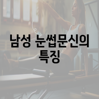 남성 눈썹문신의 특징