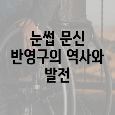 눈썹 문신 반영구의 역사와 발전