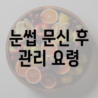 눈썹 문신 후 관리 요령