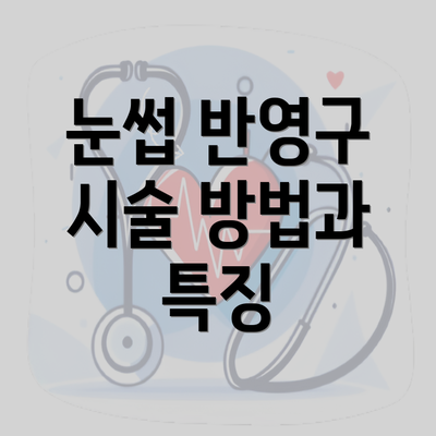 눈썹 반영구 시술 방법과 특징