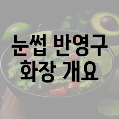 눈썹 반영구 화장 개요