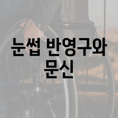 눈썹 반영구와 문신