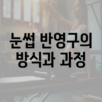 눈썹 반영구의 방식과 과정