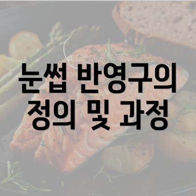 눈썹 반영구의 정의 및 과정