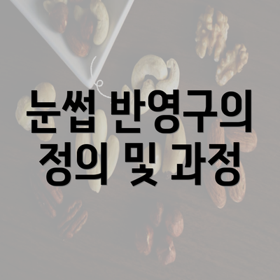 눈썹 반영구의 정의 및 과정