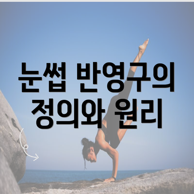 눈썹 반영구의 정의와 원리