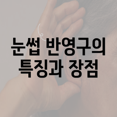 눈썹 반영구의 특징과 장점