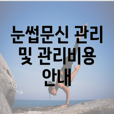 눈썹문신 관리 및 관리비용 안내