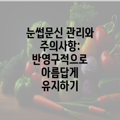 눈썹문신 관리와 주의사항: 반영구적으로 아름답게 유지하기