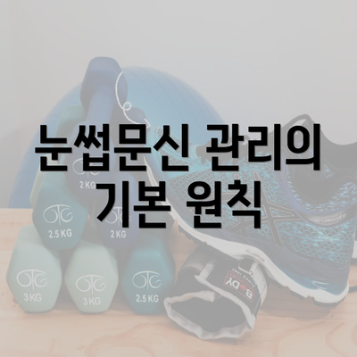 눈썹문신 관리의 기본 원칙