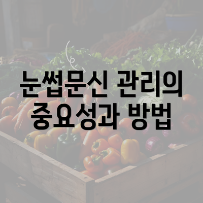 눈썹문신 관리의 중요성과 방법