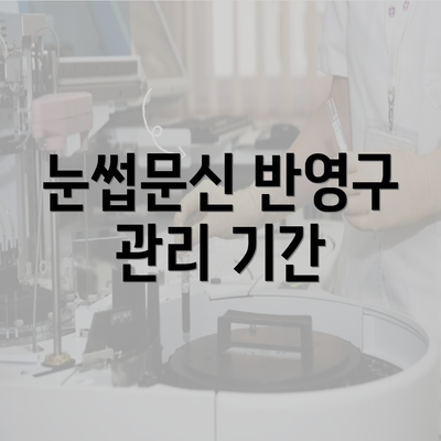 눈썹문신 반영구 관리 기간