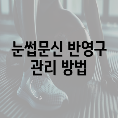 눈썹문신 반영구 관리 방법