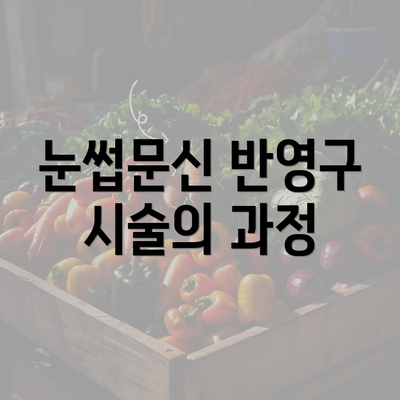 눈썹문신 반영구 시술의 과정