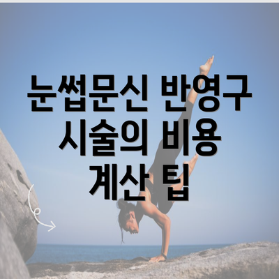 눈썹문신 반영구 시술의 비용 계산 팁