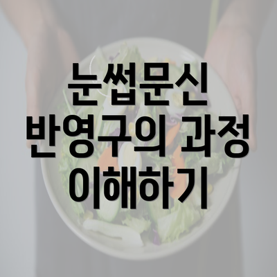 눈썹문신 반영구의 과정 이해하기