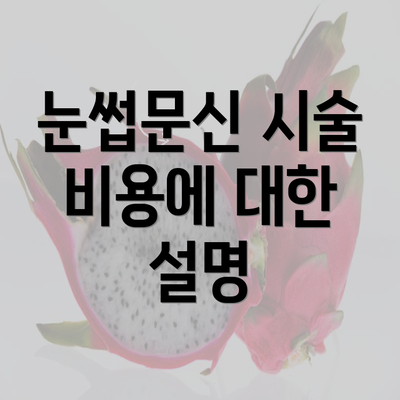 눈썹문신 시술 비용에 대한 설명