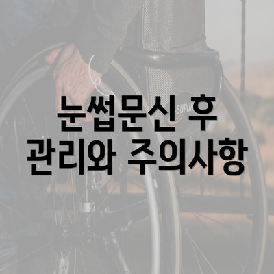 눈썹문신 후 관리와 주의사항