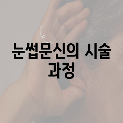 눈썹문신의 시술 과정