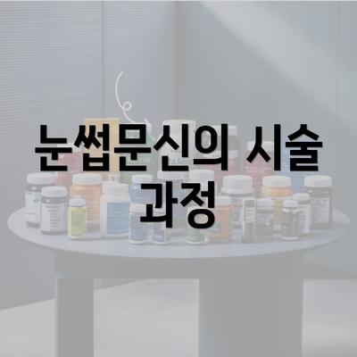 눈썹문신의 시술 과정