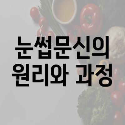 눈썹문신의 원리와 과정