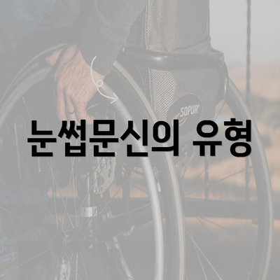 눈썹문신의 유형