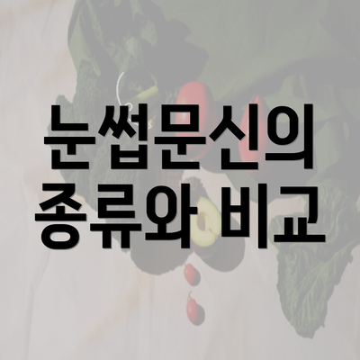 눈썹문신의 종류와 비교