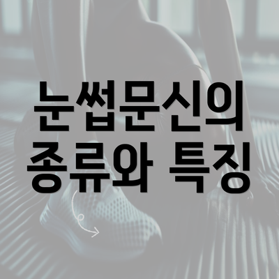 눈썹문신의 종류와 특징