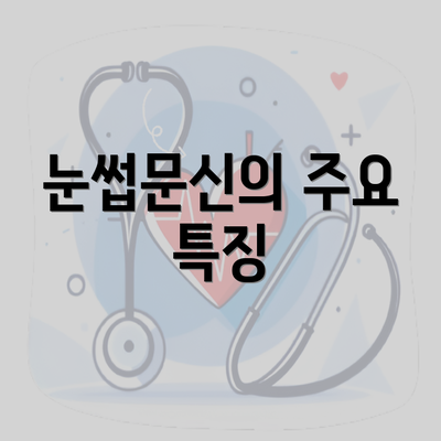 눈썹문신의 주요 특징