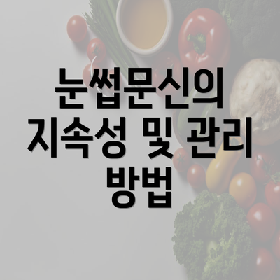 눈썹문신의 지속성 및 관리 방법