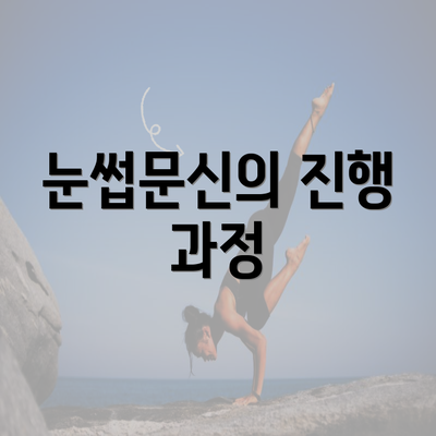 눈썹문신의 진행 과정