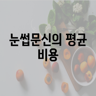 눈썹문신의 평균 비용