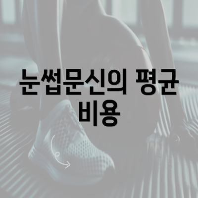 눈썹문신의 평균 비용