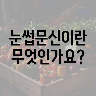 눈썹문신이란 무엇인가요?