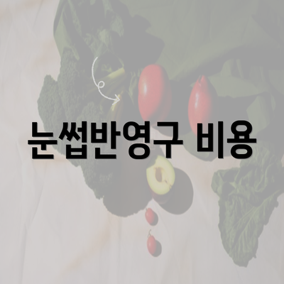 눈썹반영구 비용