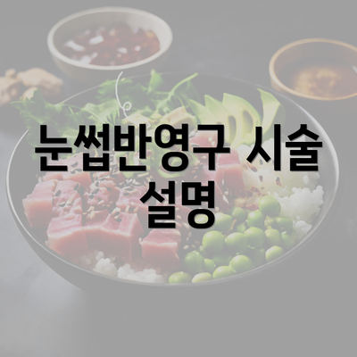 눈썹반영구 시술 설명