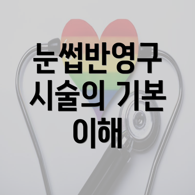 눈썹반영구 시술의 기본 이해