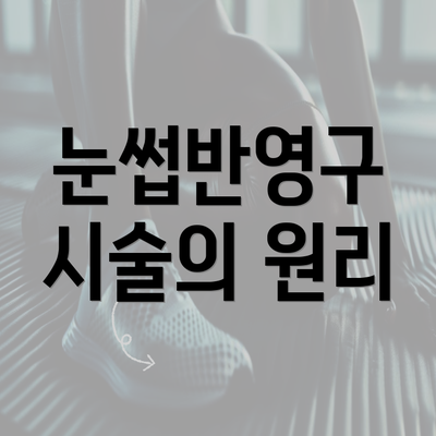 눈썹반영구 시술의 원리