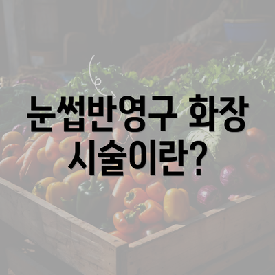 눈썹반영구 화장 시술이란?