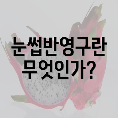 눈썹반영구란 무엇인가?