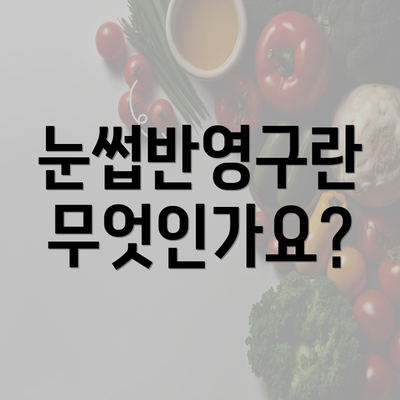 눈썹반영구란 무엇인가요?