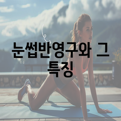 눈썹반영구와 그 특징