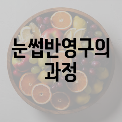 눈썹반영구의 과정